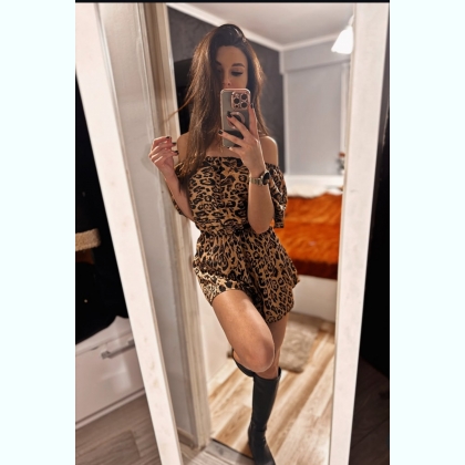 ����� ������ ����� ����� �������� ��������    . 