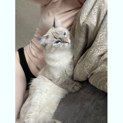 ��� �������� ������ � ����� �������� 