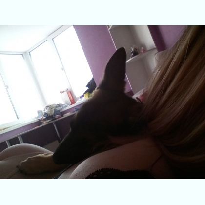 ���� ���������� ���������� � ����� ������ 